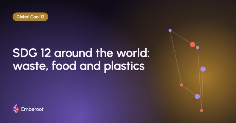 SDG 12 around the world: waste, food and plastics