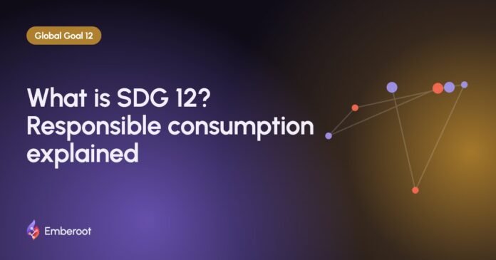 What is SDG 12? Responsible consumption explained