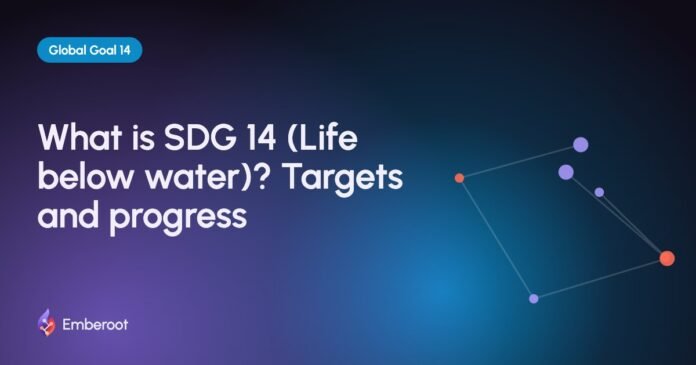 What is SDG 14 (Life below water)? Targets and progress What is SDG 14 (Life below water)? Targets and progress