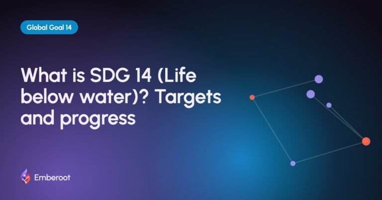 What is SDG 14 (Life below water)? Targets and progress