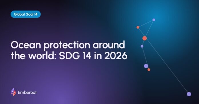 Ocean protection around the world: SDG 14 in 2026