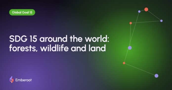 SDG 15 around the world: forests, wildlife and land