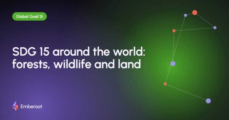 SDG 15 around the world: forests, wildlife and land