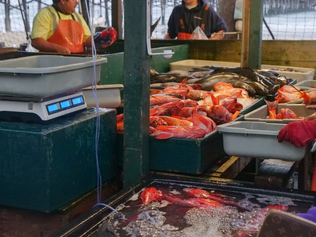Fresh fish laid out in trays beside a weighing scale at a busy seafood market