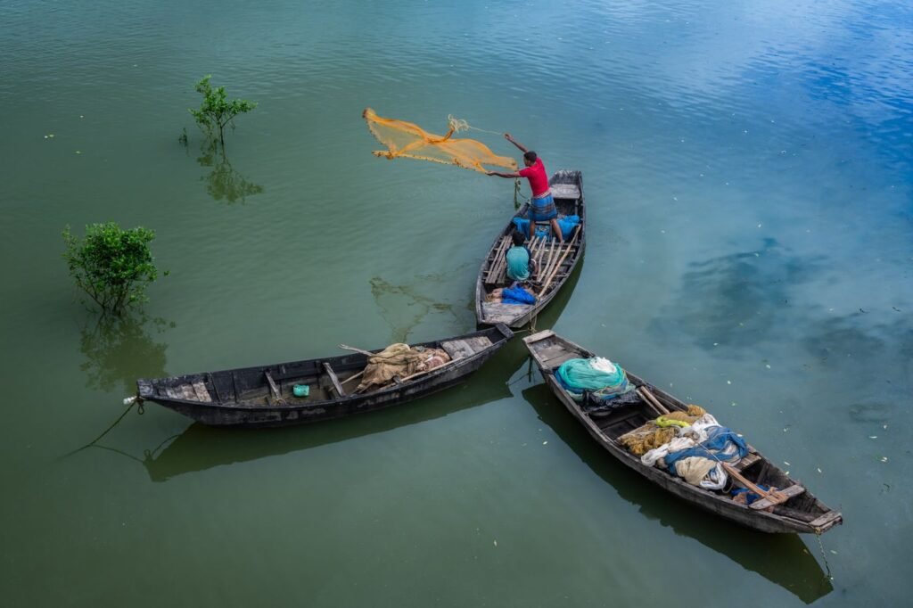 Fishermen casting nets from small boats on a river in West Bengal, India