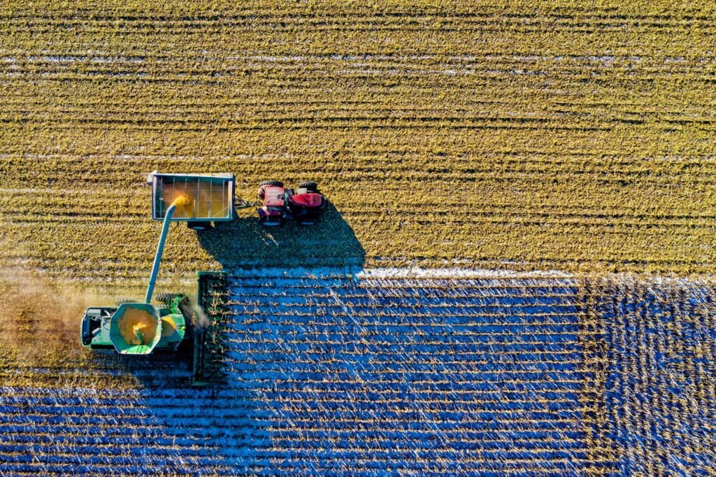 Aerial drone view of tractors harvesting a large corn field
