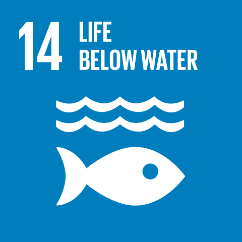 UN Sustainable Development Goal 14: Life below water