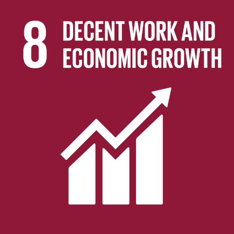 UN Sustainable Development Goal 8: Decent work and economic growth